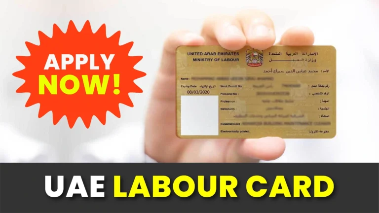 UAE Labour Card | Check Status, Download, & Renewal Guide 2 Apply for uae Labour Card