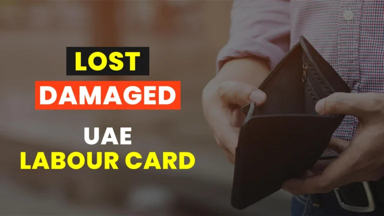 UAE Labour Card | Check Status, Download, & Renewal Guide 13 Lost or Damaged Labour Card in uae