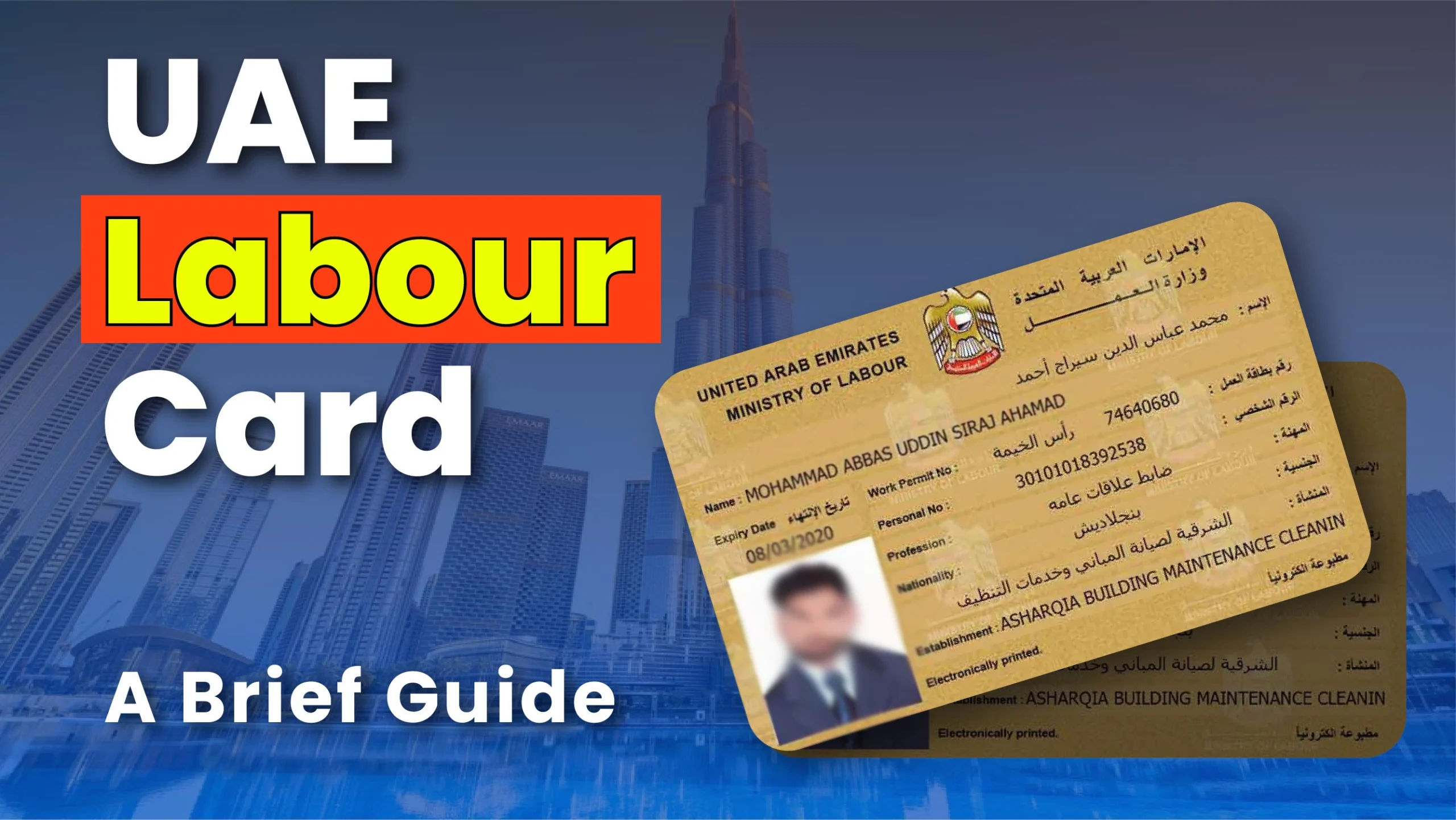 UAE Labour Card | Check Status, Download, & Renewal Guide 1 UAE Labour Card